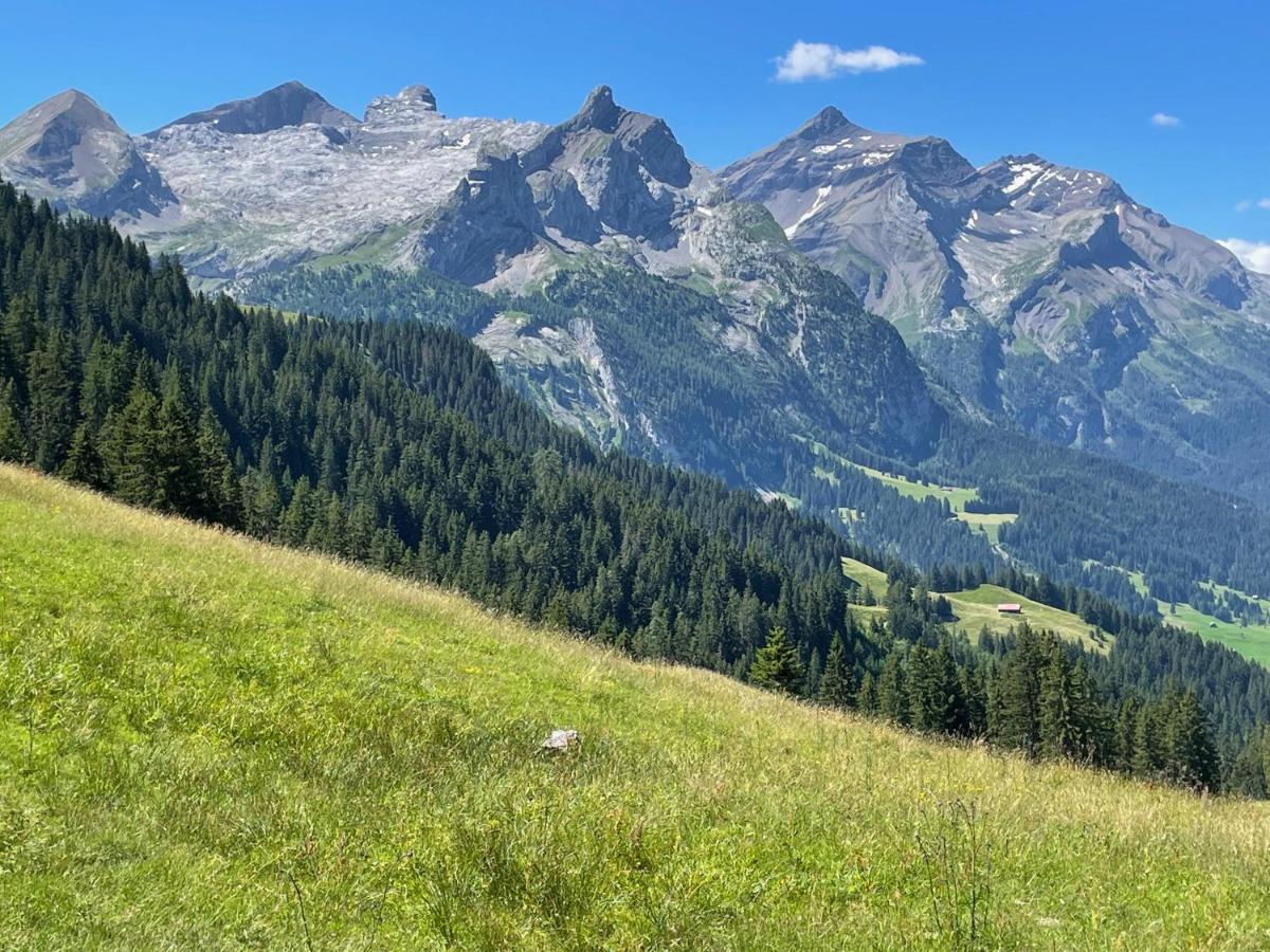 Alpen Charme - Chalet D'Hotes Et Spa Bed & Breakfast Gsteig Exterior foto